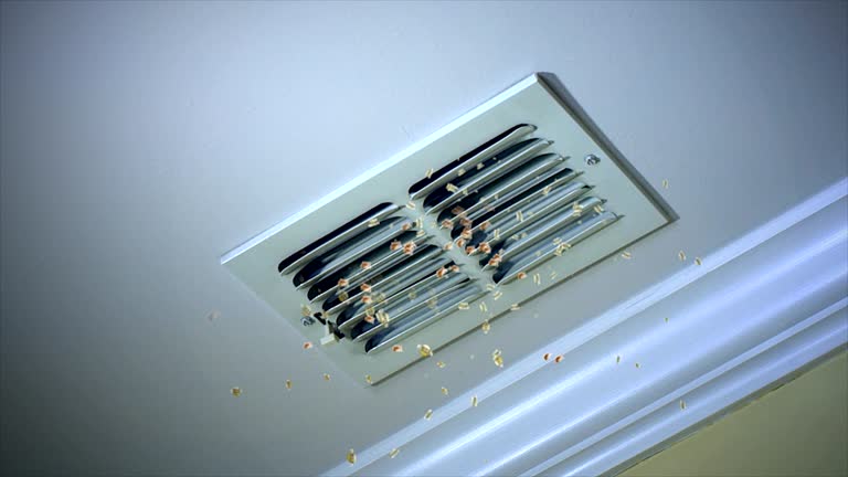 Best Air Duct Cleaning Company Near Me  in Solvay, NY